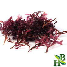 Load image into Gallery viewer, Irish Sea Moss Powder (Chondracanthus Chamissoi)