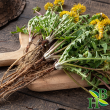 Load image into Gallery viewer, Dandelion Root c/s