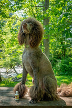 Load image into Gallery viewer, 2oz and Lemongrass Goat's Milk Lotion