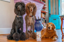 Load image into Gallery viewer, Ginger Quince Goats Milk Bath Salts Infused with Arnica: 16 oz.