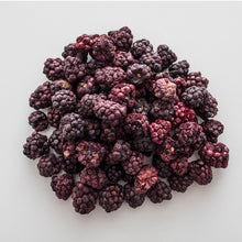 Load image into Gallery viewer, Freeze Dried Blackberries Pantry Can