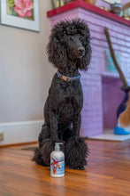 Load image into Gallery viewer, 16oz Coconut Lime Verbena Goats Milk Lotion