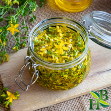 Load image into Gallery viewer, St. John's Wort Herb Powder