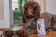 Load image into Gallery viewer, Ginger Quince Goats Milk Bath Salts Infused with Arnica: 16 oz.