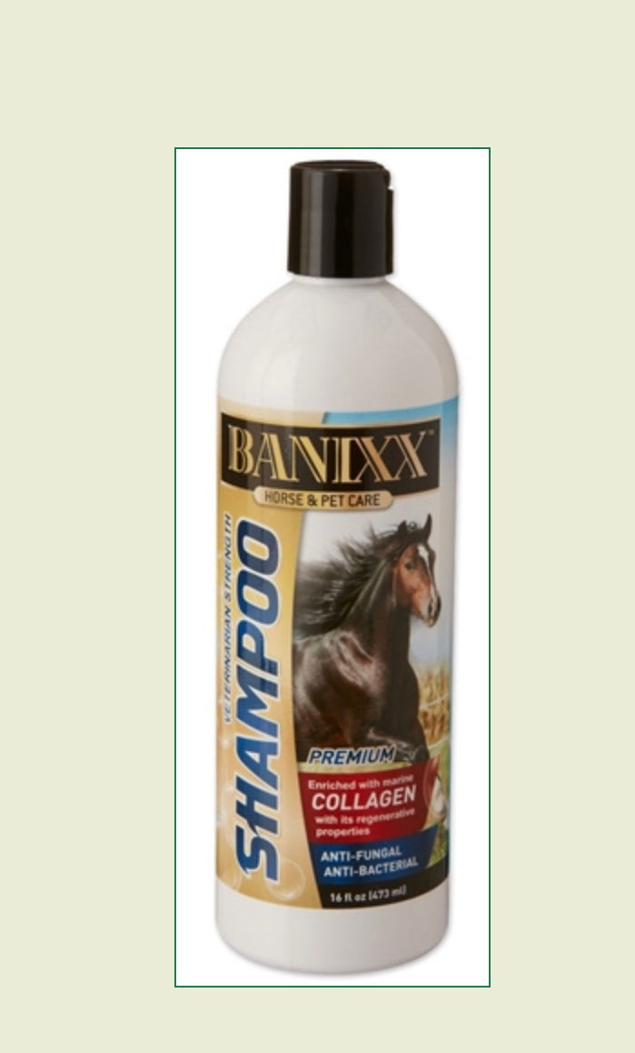 Banixx Medicated Shampoo w/Marine Collagen