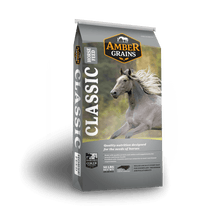 Load image into Gallery viewer, Amber Classic 12/4 Fiber Wise 50#
