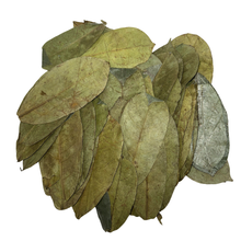 Load image into Gallery viewer, Organic Soursop Leaves 50g - Dried Leaf | Hoja De Guanabana
